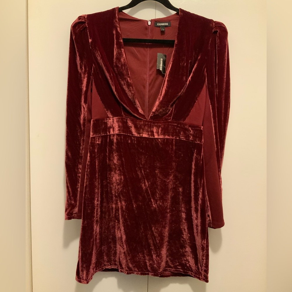 NWT Express Elegant Velvet Red Dress (NWT1)